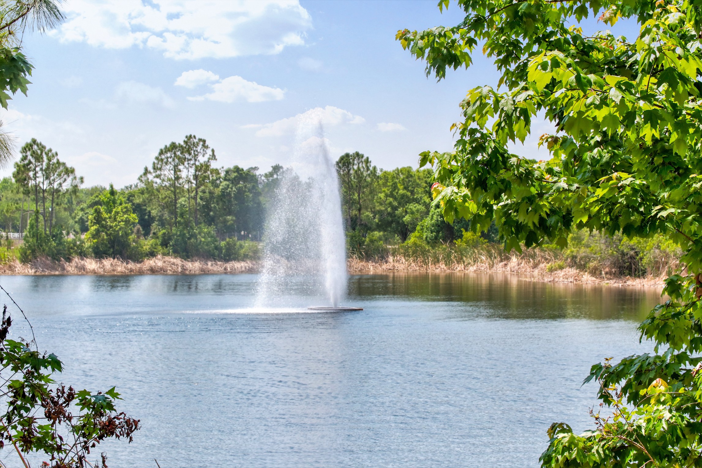 Fountain and pond on the grounds at Astoria at Celebration